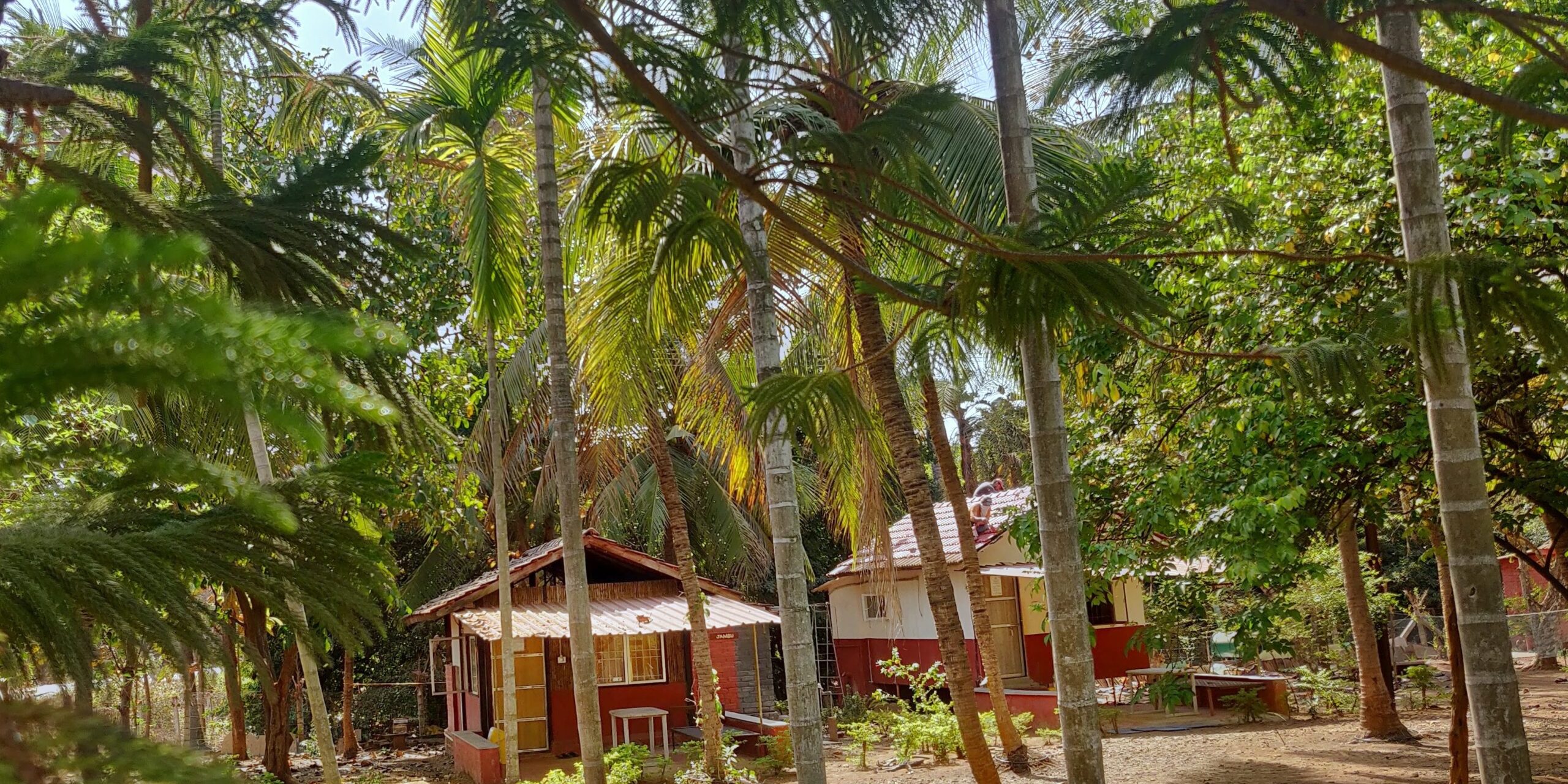 IMG_20190331_152132-01